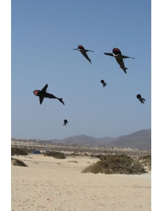 Single line kite HQ EDDY Hot Air Ballon 2