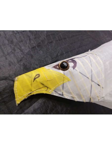 Revolution Eagle Revolution Eagle