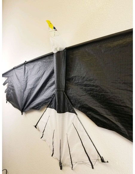 Revolution Eagle Revolution Eagle