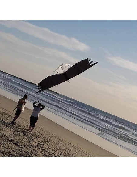 Revolution Eagle Revolution Eagle