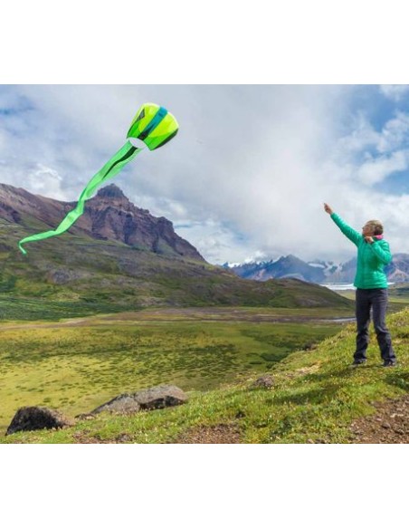 Single line Kite Prism Mantis