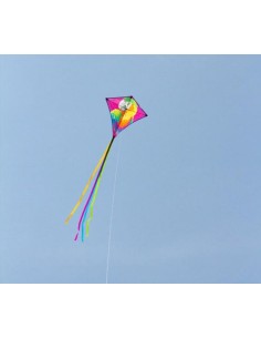 Single line kite HQ EDDY Rainbow 2