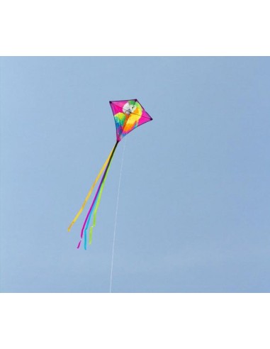 Single line kite HQ EDDY Parrot