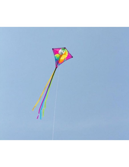 Single line kite HQ EDDY Parrot
