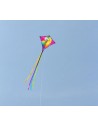 Single line kite HQ EDDY Parrot