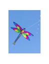 Single line kite HQ Raven