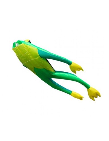 One line Kite Fritz the Frog