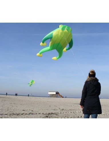 One line Kite Fritz the Frog