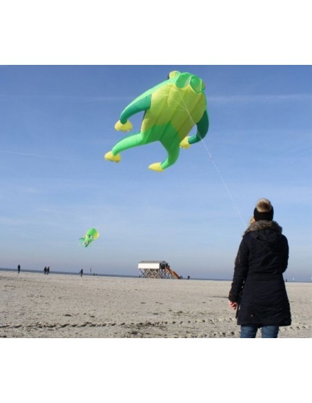 One line Kite Fritz the Frog