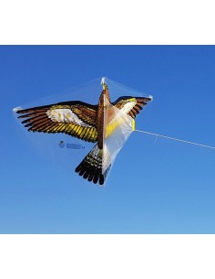WIND N SUN EAGLE 2