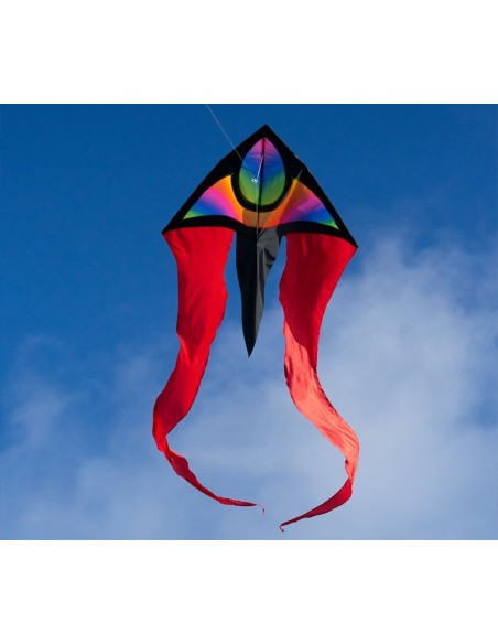 Cerf-volant Colours in Motion F-TAIL XM