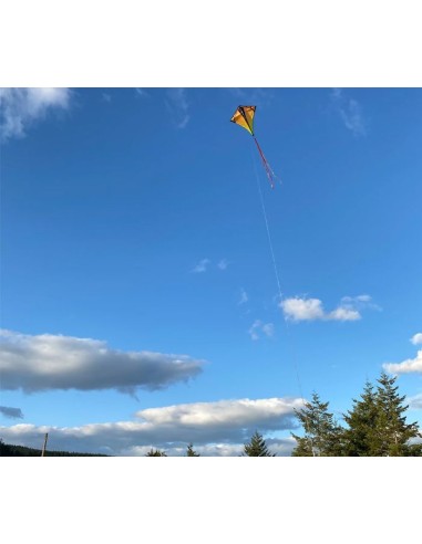 Prism Vertex Infrared