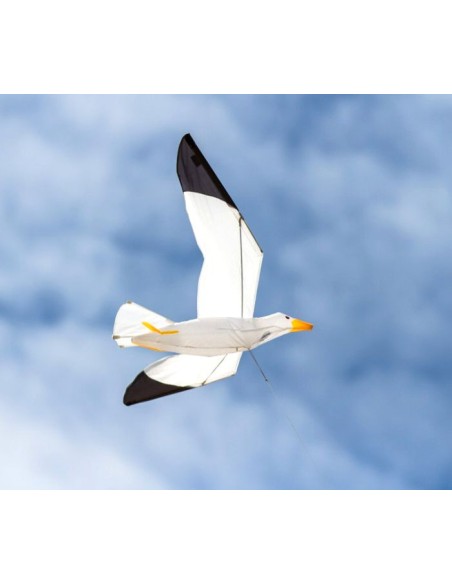 Single line kite HQ SEAGULL