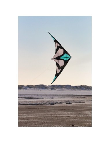 Cerf-volant Spiderkites MARACA