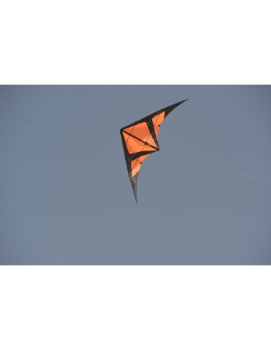 Cerf-volant Spiderkites GANGSTA