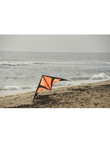 Cerf-volant Spiderkites GANGSTA