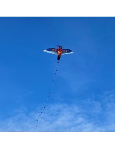 Cerf-volant monofil Colibri 2