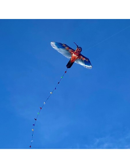 Cerf-volant monofil Colibri