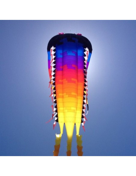 Cerfs-volants géants Peter Lynn Cerfs-volants géants Peter Lynn