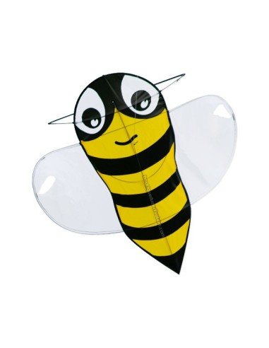 Colours in Motion BUZZZER BRUMMI Colours in Motion BUZZZER BRUMMI