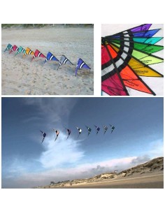 Speedwing PRO DESIGN 2