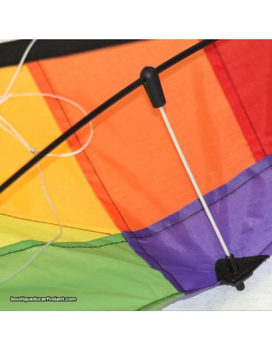 HQ Ecoline Stunt Kite ROOKIE