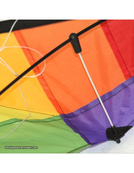 HQ Ecoline Stunt Kite ROOKIE