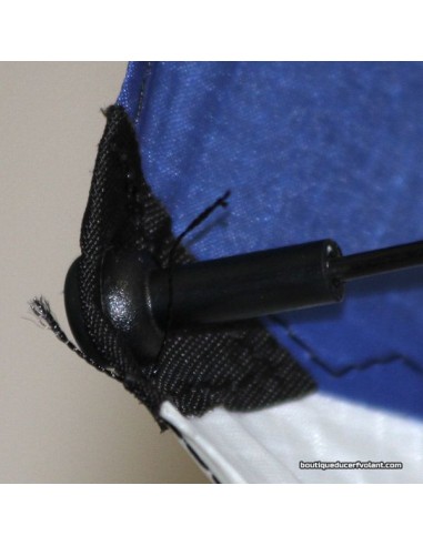 Pied de whisker à vis