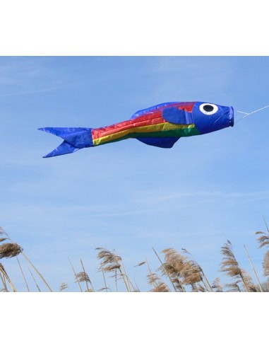 Manche à air Colours in Motion Ducky Noir