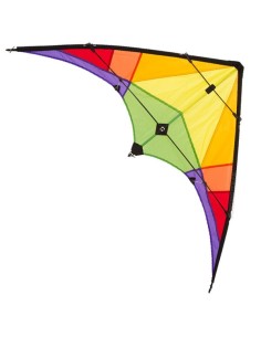 HQ Ecoline Stunt Kite ROOKIE