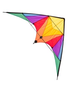 HQ Ecoline Stunt Kite TRIGGER
