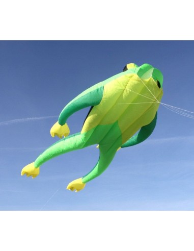 Cerf-volant Monofil Fritz la Grenouille Cerf-volant Monofil Fritz la Grenouille