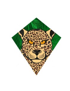 Single line kite Wolkensturmer EDDY Leopard