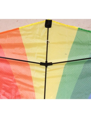 Single line kite Wolkensturmer EDDY RAINBOW