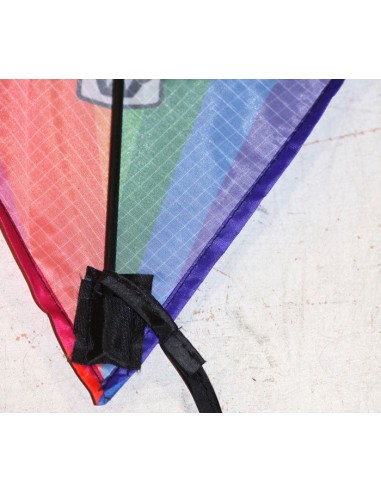 Single line kite Wolkensturmer EDDY RAINBOW