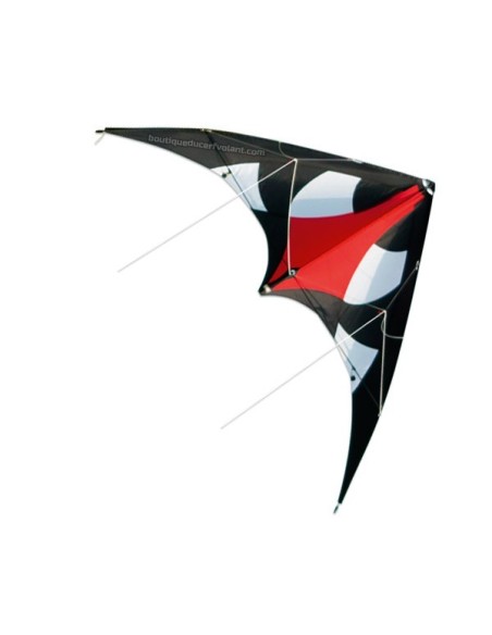 Colours in Motion BEETLE Colours in Motion BEETLE