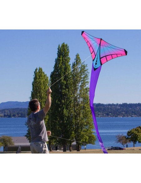 Single line Kite Prism Mantis