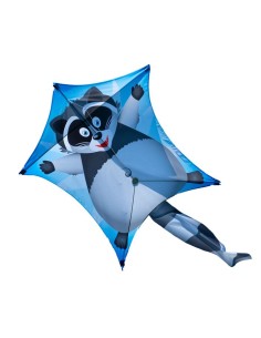 Single line kite Colours in Motion PENTA RACCOON