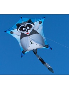 Single line kite Colours in Motion PENTA RACCOON 2