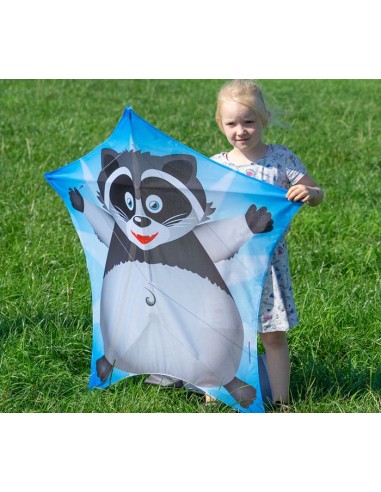 Single line kite Colours in Motion PENTA RACCOON