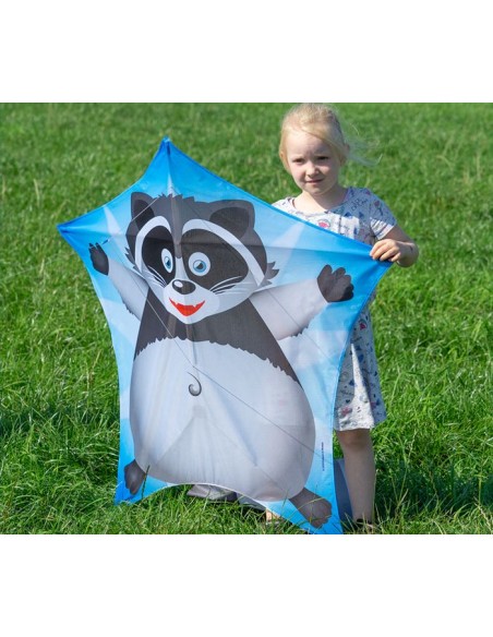 Single line kite Colours in Motion PENTA RACCOON