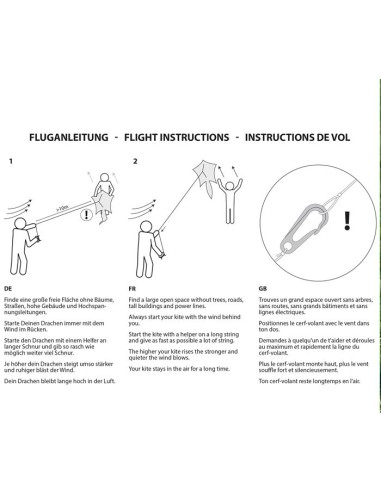 Single line kite Colours in Motion PENTA RACCOON