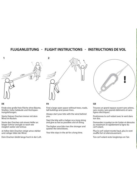 Single line kite Colours in Motion PENTA RACCOON